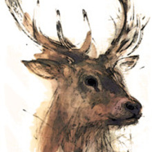 Deerhead_logo .large